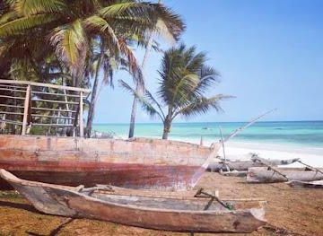 tanzania/dar-es-salaam/attraction/kizimkazi-mkunguni