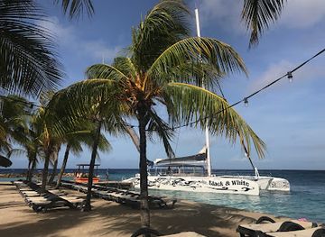 curacao/groot-kwartier/attraction/bluefinn-charters-curacao