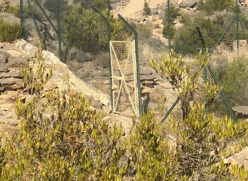 united-arab-emirates/al-batinah-coast/attraction/flight-venom-crash-site