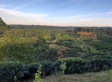 bangladesh/lawachara-national-park/attraction/yajna-kunder-dhara