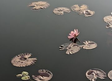 india/jharkhand/attraction/ratu-sunrise-point