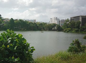 singapore/yishun/attraction/yishun-pond-park
