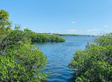 florida/nature-coast/attraction/john-pennekamp-coral-reef-state-park