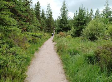 ireland/county-tipperary/attraction/glen-of-aherlow-forest-recreational-area