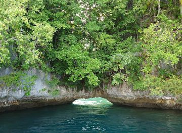 palau/aimeliik/attraction/soft-coral-arch