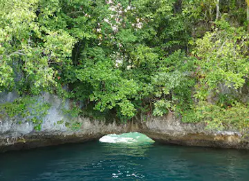 Soft Coral Arch