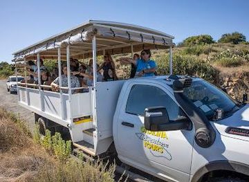 california/huntington-beach/attraction/catalina-adventure-tours