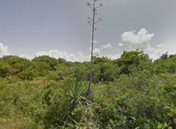 mexico/holbox-island/attraction/casa-laguna-lagartos