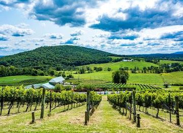 maryland/frederick/attraction/hillsborough-vineyards-brewery