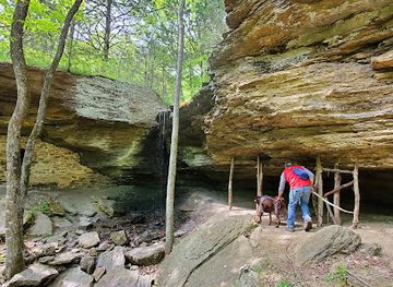 arkansas/devil-s-den-state-park/attraction/moonshiners-cave-trail