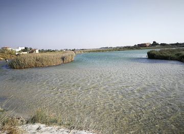 italy/salento/attraction/parco-naturale-regionale-del-bosco-e-paludi-di-rauccio