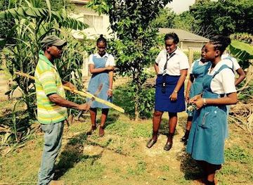 jamaica/negril/attraction/bluefields-organic-farm