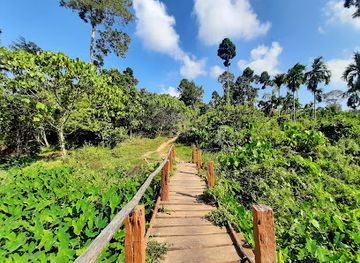 india/andaman-and-nicobar-islands/attraction/walking-path-to-elephant-beach