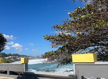 puerto-rico/arecibo-observatory/attraction/arecibo-promenade