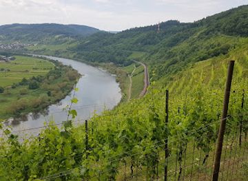 germany/moselle/attraction/prinzenkopf-observation-tower