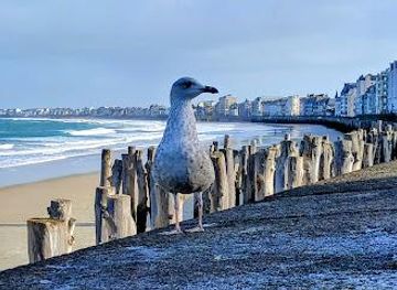 france/mont-saint-michel/attraction/digue-du-sillon