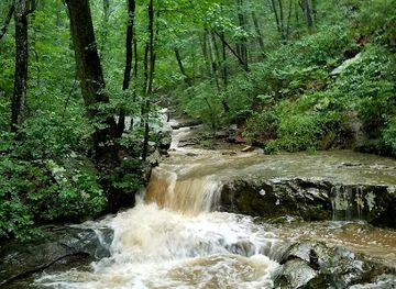 tennessee/fall-creek-falls-state-park/attraction/glen-falls