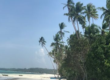 indonesia/maluku-islands/attraction/kei-pirate-divers