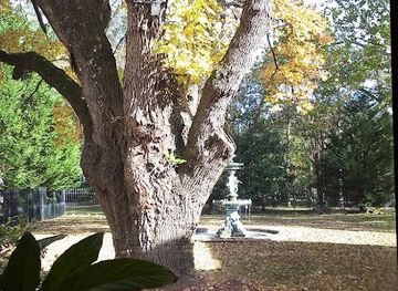 mississippi/holly-springs-national-forest/attraction/rust-at-airliewood