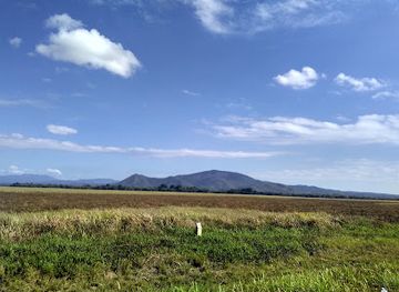 indonesia/sulawesi/attraction/taman-nasional-rawa-aopa-watumohai