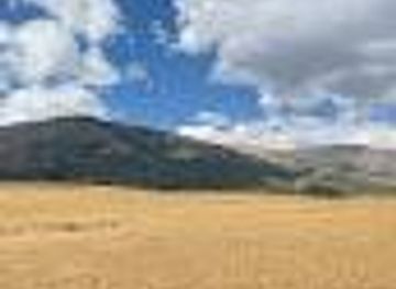 peru/ayacucho/attraction/pampa-de-quinua-campamento