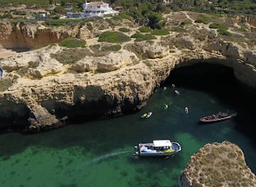 portugal/albufeira/attraction/dolphins-driven