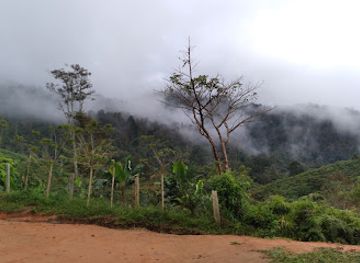 honduras/cusuco-national-park/attraction/el-triunfo-quimistan-santa-barbara