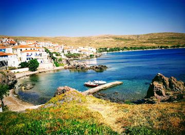 greece/north-aegean/attraction/natural-history-museum-of-the-lesvos-petrified-forest