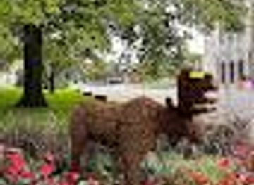 michigan/kalamazoo/attraction/bronson-park-mound