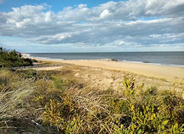 Cape Henlopen State Park