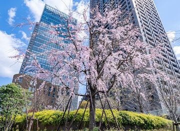 japan/settsu/attraction/nakanoshima-shikinooka-park