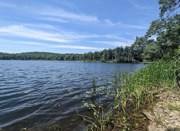 massachusetts/mount-greylock-state-reservation/attraction/october-mountain-state-forest