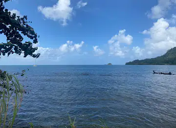 Parkin y avista miento Portobelo