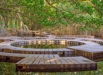 honduras/cayos-cochinos/attraction/laguna-de-cacao