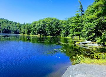 massachusetts/mohawk-trail-state-forest/attraction/catamount-state-forest