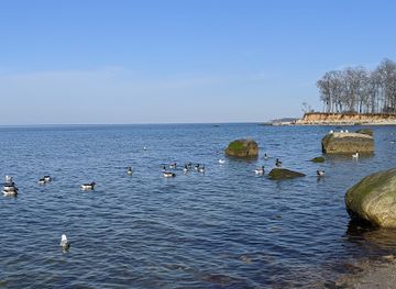 connecticut/long-island-sound/attraction/caumsett-state-historic-park-preserve