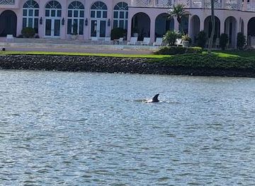 florida/sanibel-island/attraction/pure-florida
