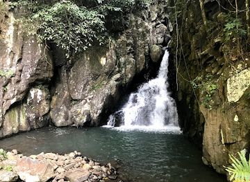 philippines/visayas/attraction/7th-falls-mambukal