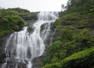 india/munnar/attraction/nayamakad-waterfall