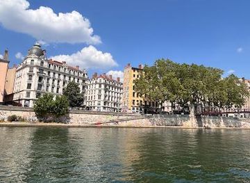 france/lyon/attraction/le-vaporetto-confluence