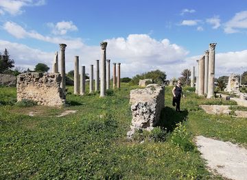 tunisia/tunis/carthage/attraction/baths-of-gargilius