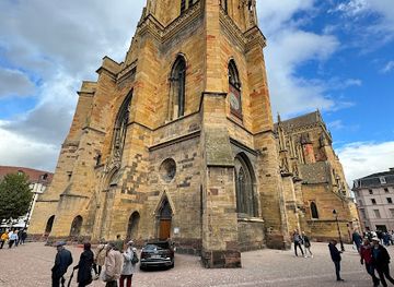 france/colmar/attraction/nid-de-cigognes