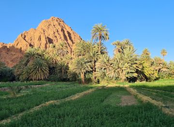 morocco/todra-gorge/attraction/palmier-imarighen-n-ait-alla