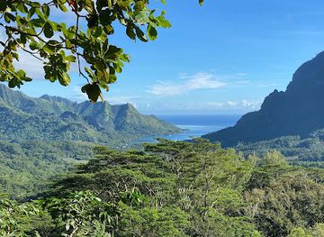 french-polynesia/tahiti/attraction/safari-mario-moorea
