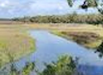 florida/st-augustine-beach/attraction/moses-creek-conservation-area-east-trailhead