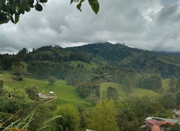 colombia/coffee-axis/attraction/calle-real