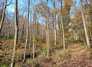 west-virginia/huntington/attraction/huntington-museum-of-art-nature-trail