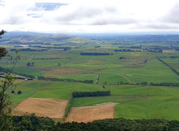 new-zealand/southland/attraction/forest-hill-scenic-reserve