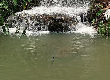 philippines/visayas/attraction/dalinson-falls