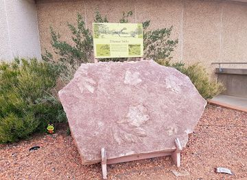 arizona/antelope-canyon/attraction/dinosaur-tracks